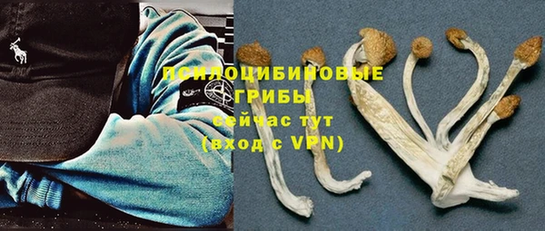 спиды Алексин