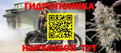 скорость Гай