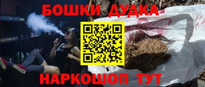 МДПВ Гатчина