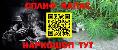 МДПВ Гатчина