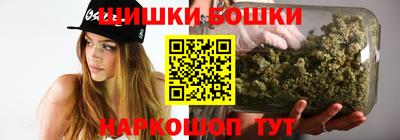МДПВ Гатчина