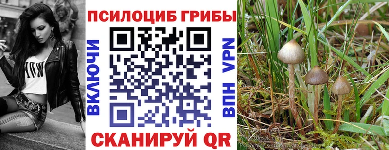 Псилоцибиновые грибы Magic Shrooms  ОМГ ОМГ как зайти  Светлоград 